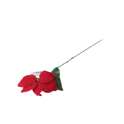 Poinsecja 61 cm