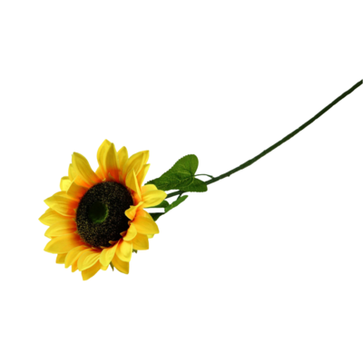 Słonecznik 87 cm