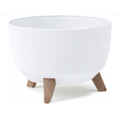 Misa donica Roma Jumper 29 cm biały