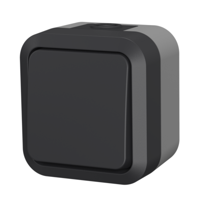 Łącznik 2-biegunowy aqua pro IP55 szary