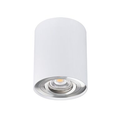 Oprawa sufitowa punktowa BORD DLP-50-SR/W biało-srebrny