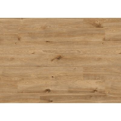 Panel podłogowy AC5 8 mm dąb solar