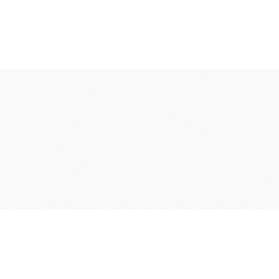 Płytka ścienna neo geo biała błyszcząca rett. 30 x 60 cm gatunek II