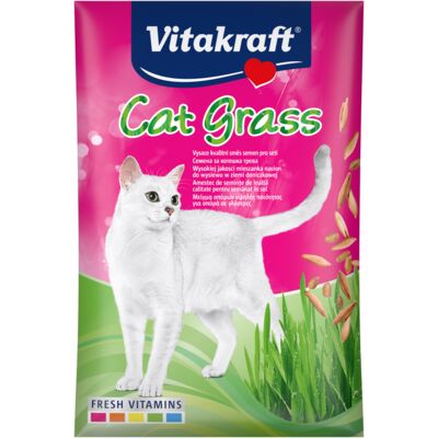 Przysmak dla kota Cat Grass nasiona trawy 50 g Vitakraft