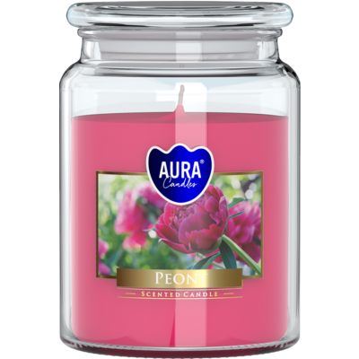 Świeca w słoiku SND99-157 100h PIWONIA Bispol