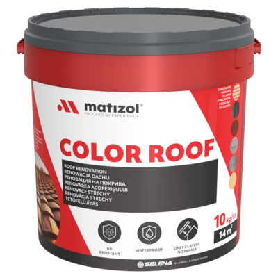Renowacja Dachu Color Roof 10 kg szary