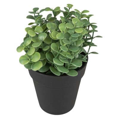 Kwiat sztuczny w czarnej doniczce mix wzorów