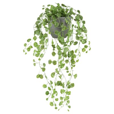 Sztuczna roślina zwisająca w doniczce 50 cm