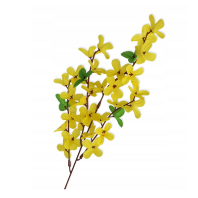 Gałązka forsycji 50 cm