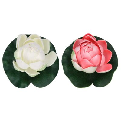 Lilia piankowa 10 cm mix kolorów