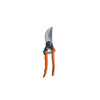 Sekator ogrodowy 20 cm