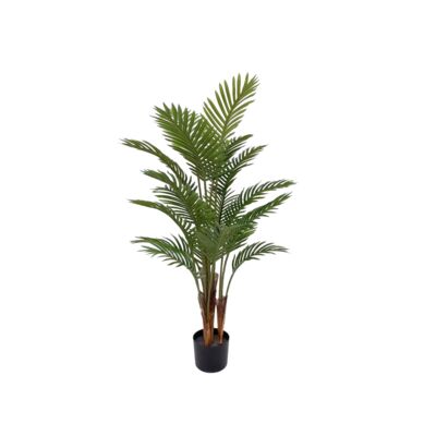 Palma w doniczce 120 cm