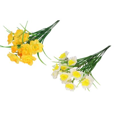 Bukiet 6 żonkili 50 cm