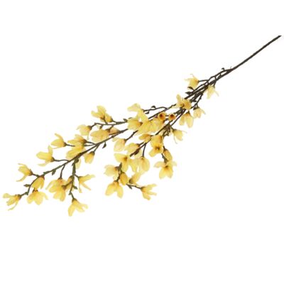 Forsycja gałązka dł. 95 cm