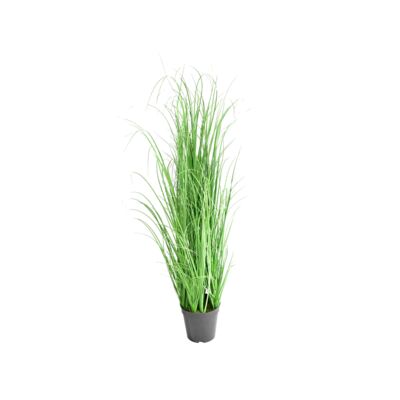 Trawa w doniczce 94 cm