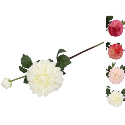 Dalia gałązka 2 główki mix kolorów