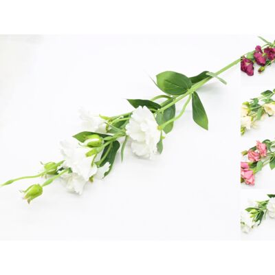 Eustoma gałązka 4 główki mix kolorów