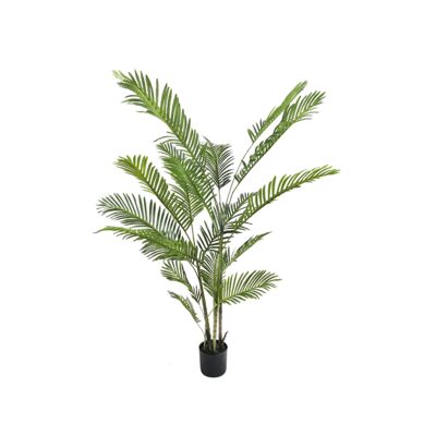 Palma w doniczce 180 cm