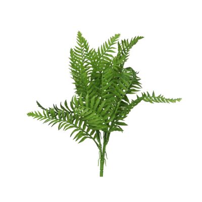 Paproć bukiet 45 cm