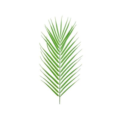 Liść palmy pojedynczy 53 cm