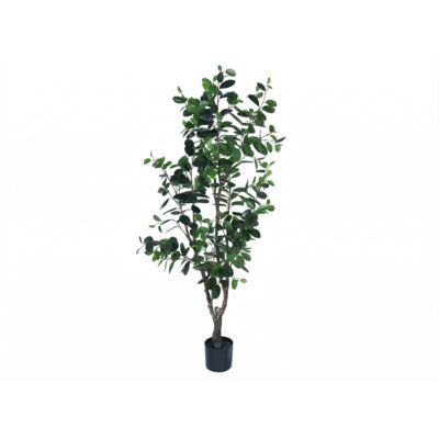 Fikus w doniczce 155 cm