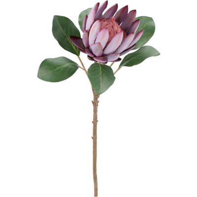 Kwiat protei 60 cm fioletowy