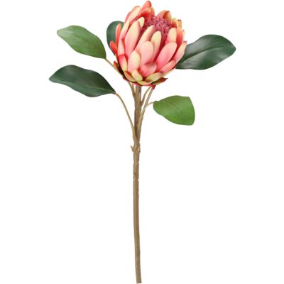 Kwiat protei 66 cm jasny różowy