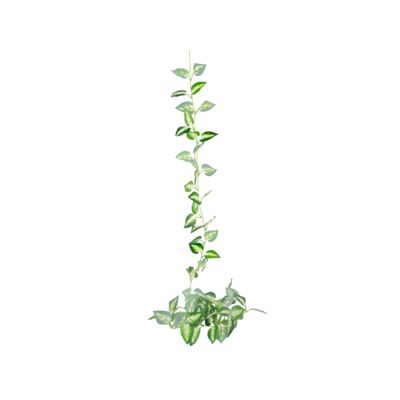 Girlanda 180 cm