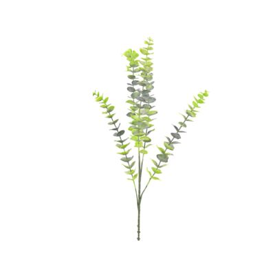 Bukiet 5 gałązek 78 cm eukaliptus