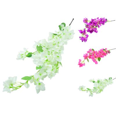 Bugenwilla gałązka mix kolorów