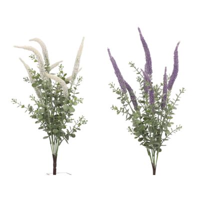 Lawenda bukiet 57 cm mix kolorów