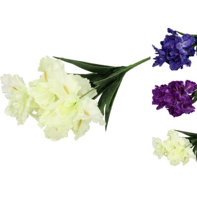 Bukiet 7 irysów mix kolorów