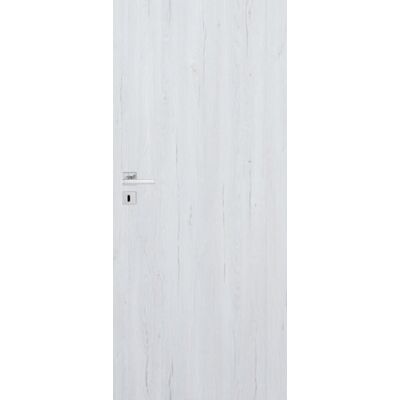 Skrzydło drzwiowe CANIS silver pełne 80 P Windoor