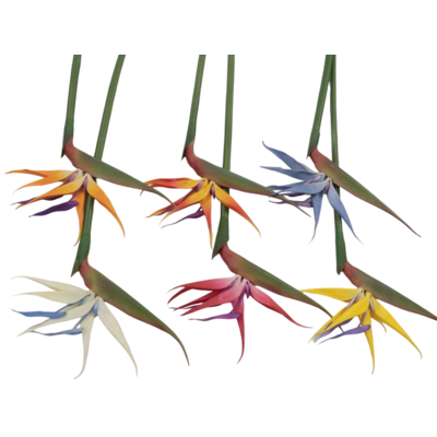 Kwiat sztuczny strelicja 80 cm mix kolorów