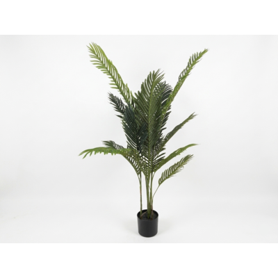 Roślina dekoracyjna w doniczce 137 cm