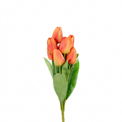 Bukiet 9 tulipanów wys. 42 cm pomarańczowy