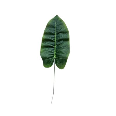 Liść datura 45 cm