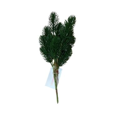 Świek 5 gałązek 37 cm