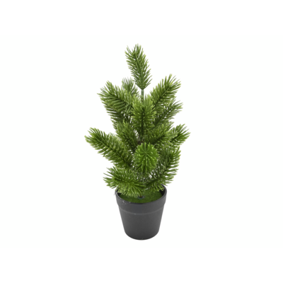 Choinka w doniczce 25 cm