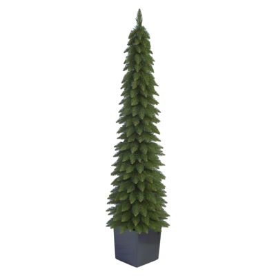 Świerk Zakopiański super slim donica 190 cm