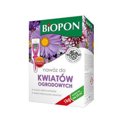 hortensja phantom nie kwitnie hortensja phantom nie kwitnie