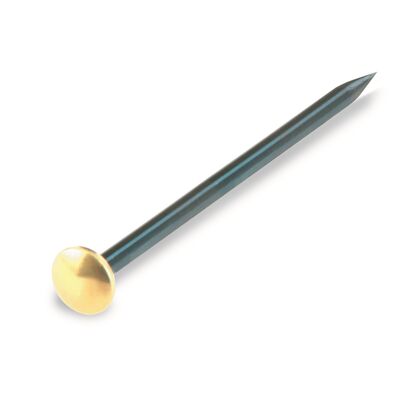Gwóźdź 2,0 x 30 mm stalowy niebieskawy/łeb mosiężny Suki