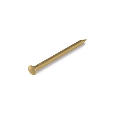 Gwóźdź 1,5 x 25 mm mosiądzowany łeb soczewkowy suki
