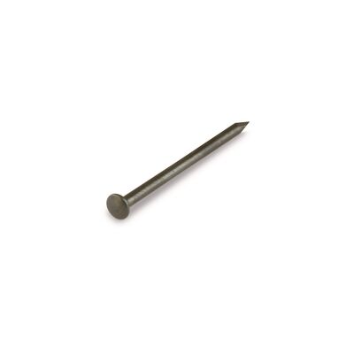 Gwóźdź 1,5 x 25 mm niebieski łeb soczewkowy suki