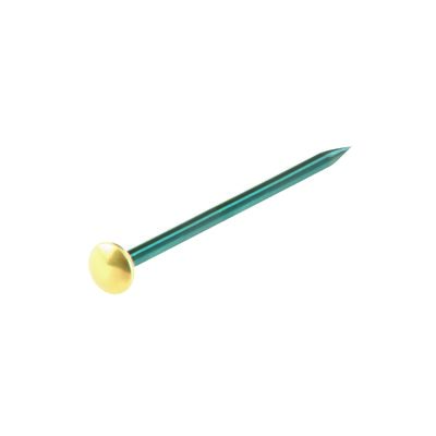 Gwóźdź 1,4 x 26 mm stalowy niebieskawy łeb mosiężny suki
