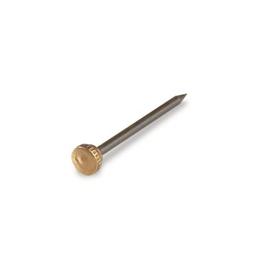 Gwóźdź 1,2 x 22 mm niebieski łeb mosiężny suki