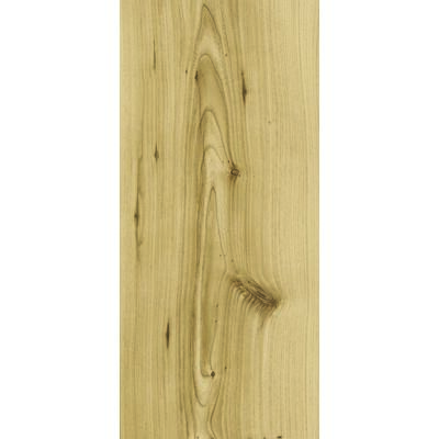Panel podłogowy Wiąz Elegance AC4 8 mm Krono Original