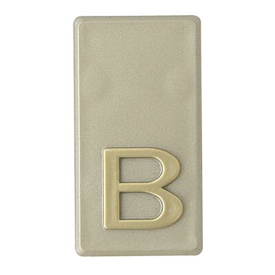 Litera "B" INV oliwka