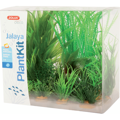 Dekoracja roślinna PLANTKIT JALAYA model 1 ZOLUX