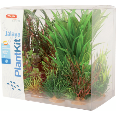 Dekoracja roślinna PLANTKIT JALAYA model 3 ZOLUX